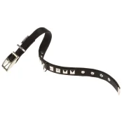 Нейлоновий нашийник Ferplast Dual CF15 / 35 Colours Black для собак, 15 мм, A: 27 ÷ 35 см