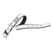 Нейлоновий нашийник Ferplast Dual CF20 / 43 Colours White для собак, 20 мм, A: 35 ÷ 43 см
