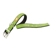 Нейлоновий нашийник Ferplast Dual CF20 / 43 Colours Green для собак, 20 мм, A: 35 ÷ 43 см