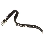 Нейлоновий нашийник Ferplast Dual CF25 / 43 Colours Black для собак, 25 мм, A: 37 ÷ 45 см