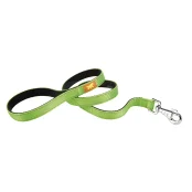 Нейлоновый поводок Ferplast Dual G20/110 Colours Green для собак, 20 мм, 110 см