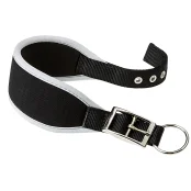 Нашийник Ferplast Ergocomfort CW15 / 32 Grey для собак, A: 26 ÷ 32 см, B: 15 мм
