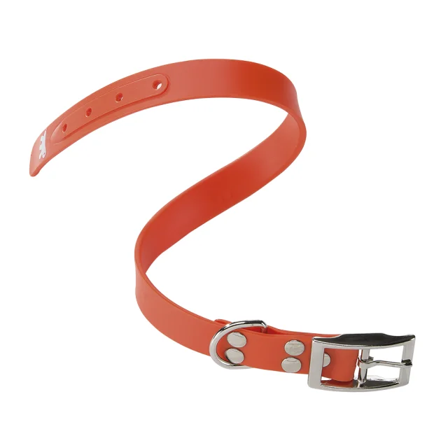 Еластичний нашийник Ferplast Ergoflex CF24 / 45 Orange для собак, A: 37 ÷ 45 см, B: 24 мм