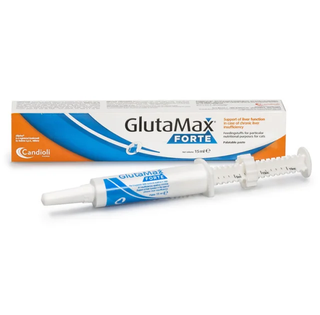Паста Candioli GlutaMax Forte для підтримки функцій печінки для котів, 15 мл