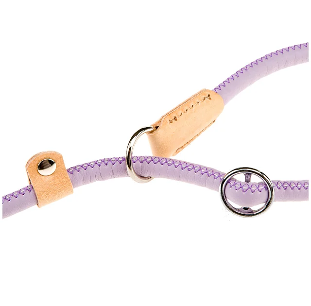 Поводок с ошейником из эко-кожи Ferplast Derby GC12/170 Purple для собак, 12 мм, 170 см