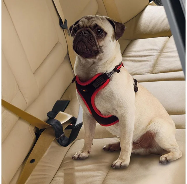 Автомобільний ремінь безпеки Ferplast Dog Travel Belt для собак дрібних і середніх порід, 40 мм, 50 см