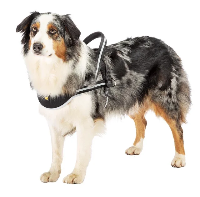 Ездовая шлейка Ferplast Ergocomfort NORDIC 1 для собак, A: 48 см, B: 59÷67 см