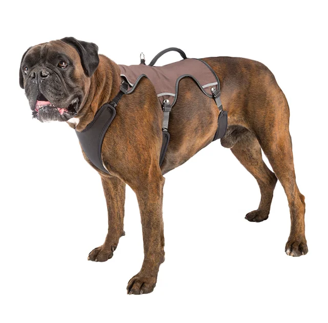 Эргономичная шлейка Ferplast Ergotrekking P L Black для собак с системой микро-регулирования