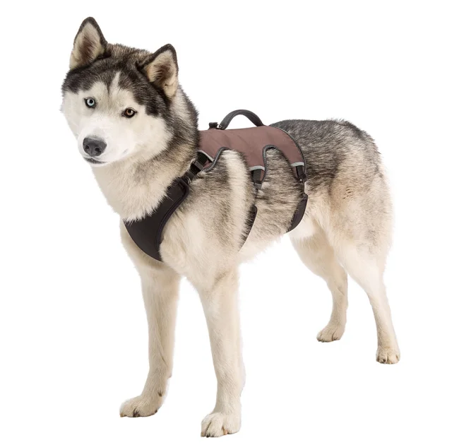 Эргономичная шлейка Ferplast Ergotrekking P L Black для собак с системой микро-регулирования