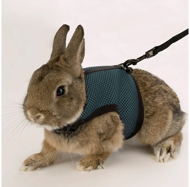 Шлейка Ferplast Jogging Large-harness для дрібних тварин