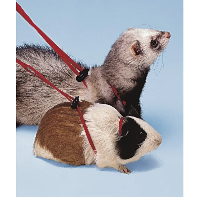Регульована шлею Ferplast NY Rod Harness Rodents Red для морських свинок, червона