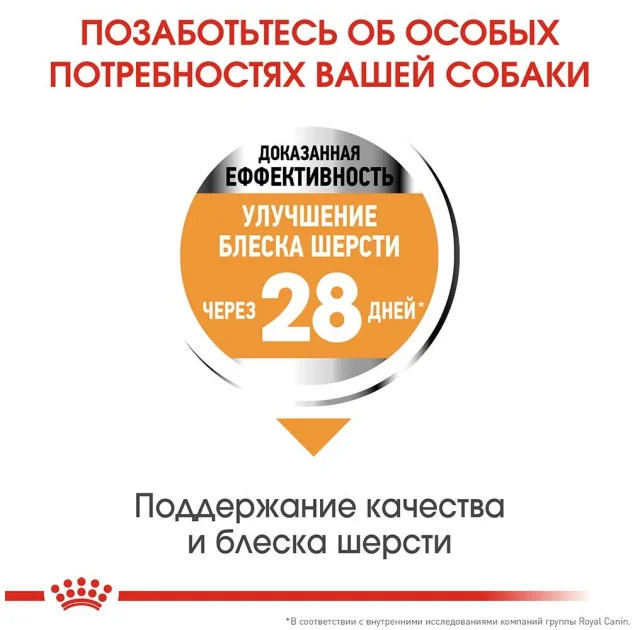 Сухой корм Royal Canin Mini Coat Care для собак мелких пород с тусклой и сухой шерстью, 1 кг