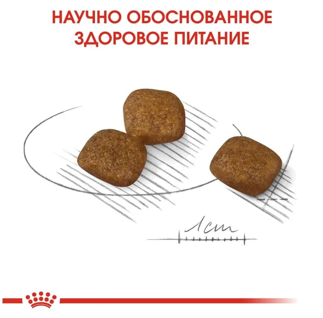 Сухой корм Royal Canin Mini Coat Care для собак мелких пород с тусклой и сухой шерстью, 3 кг