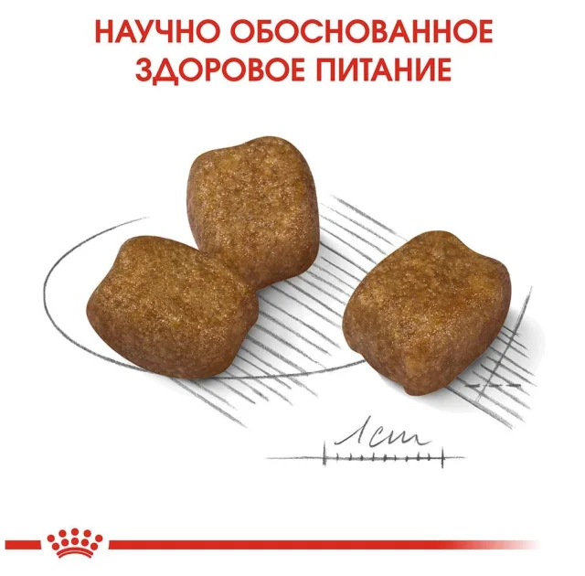 Сухой корм Royal Canin Mini Dental Care для уменьшения образования зубного камня у собак мелких пород, 1 кг