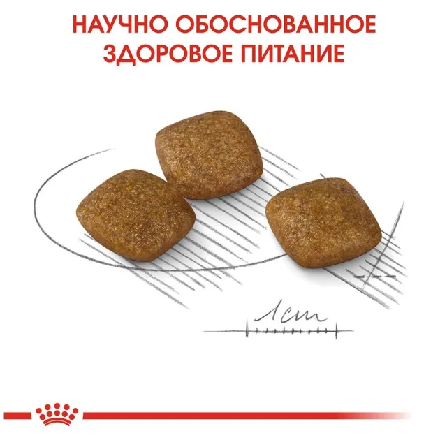Сухий корм Royal Canin Mini Relax Care з заспокійливою дією для собак дрібних порід, 3 кг