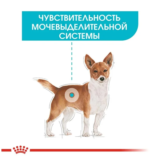 Сухий корм Royal Canin Mini Urinary Care для собак дрібних порід з чутливою сечовидільної системою, 1 кг