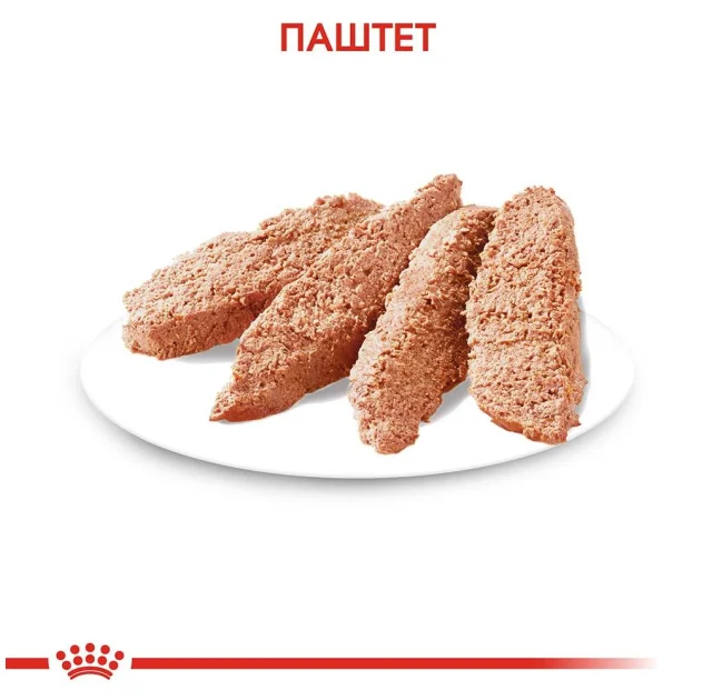 Вологий корм Royal Canin Digestive Care при чутливому травленні у собак, паштет, 85 г
