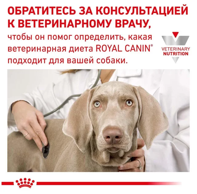 Вологий корм Royal Canin Urinary S / O Ageing 7 + при сечокам'яній хворобі у собак старше 7 років, 85 г