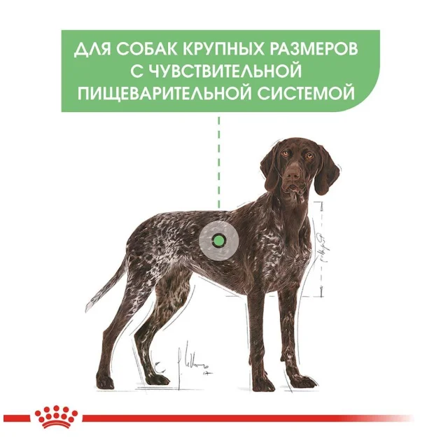 Сухий корм Royal Canin Maxi Digestive Care при чутливому травленні у собак великих порід, 10 кг