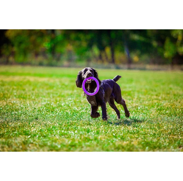 Тренировочный снаряд Puller Midi для собак, диаметр - 20 см