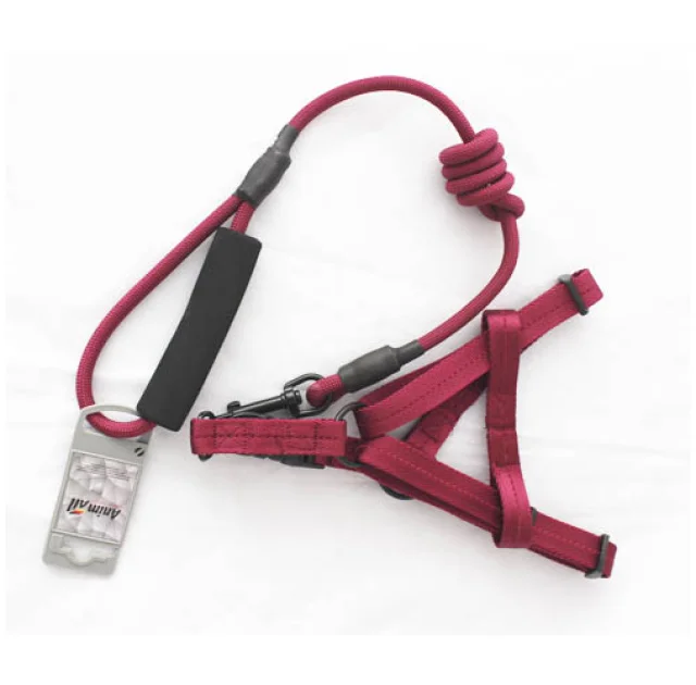 Комплект шлея с поводком AnimAll для животных, S, 0.8×120 см/37-46 см, винный