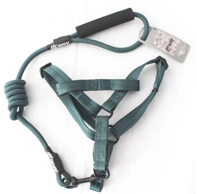 Комплект шлея с поводком AnimAll для животных, M, 1×120 см/44-54 см, темно-зеленый