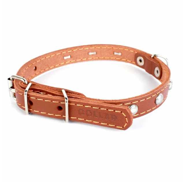 Ошейник одинарный с украшением для собак 14 мм, 27-35 см, коричневый