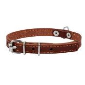 Ошейник одинарный для собак 10 мм, 22-30 см, коричневый