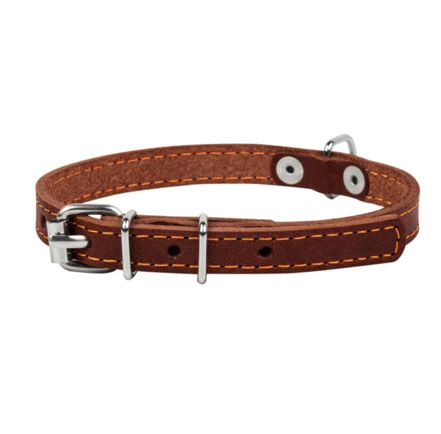 Ошейник одинарный для собак 10 мм, 22-30 см, коричневый