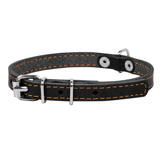 Ошейник одинарный для собак 10 мм, 22-30 см, черный