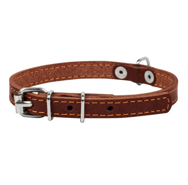 Ошейник одинарный для собак 12 мм, 24-32 см, коричневый