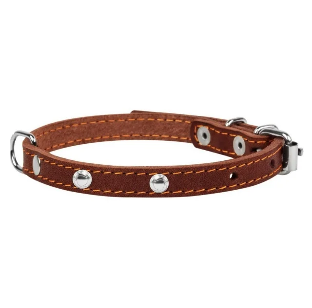 Ошейник одинарный с украшением для собак 12 мм, 24-32 см, коричневый