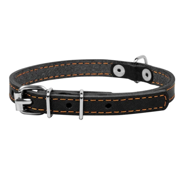 Ошейник одинарный для собак 20 мм, 32-40 см, черный
