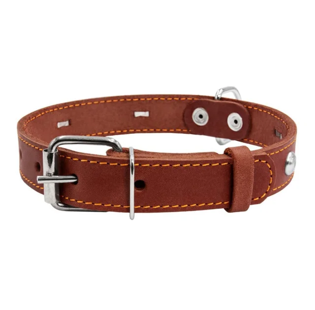 Ошейник одинарный с украшением для собак 20 мм, 32-40 см, коричневый