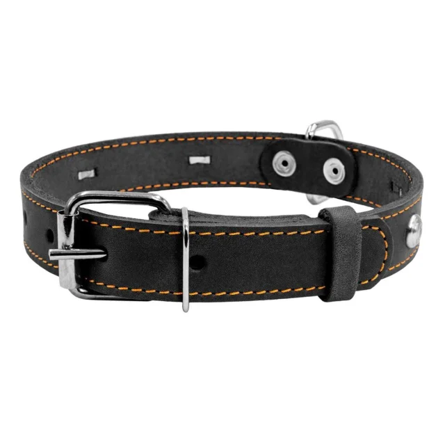 Ошейник одинарный с украшением для собак 20 мм, 32-40 см, черный
