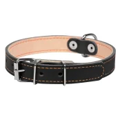 Ошейник двойной для собак 20 мм, 32-40 см, черный