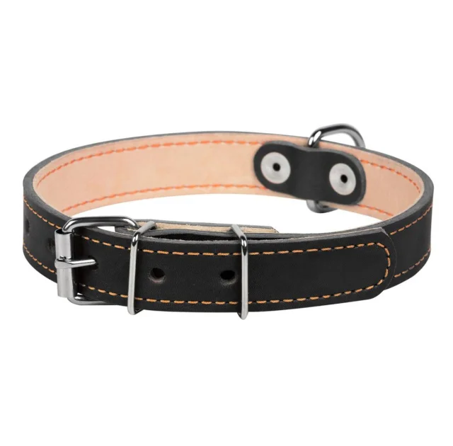 Ошейник двойной для собак 20 мм, 32-40 см, черный