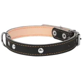 Ошейник двойной с украшением для собак 20 мм, 32-40 см, черный