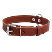 Ошейник одинарный для собак 25 мм, 38-50 см, коричневый