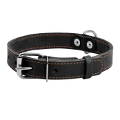 Ошейник одинарный для собак 25 мм, 38-50 см, черный
