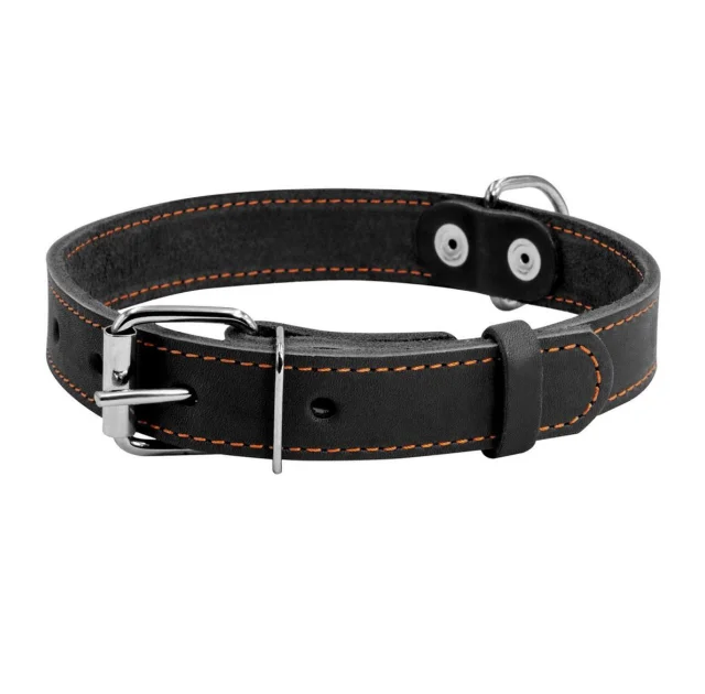 Ошейник одинарный для собак 25 мм, 38-50 см, черный