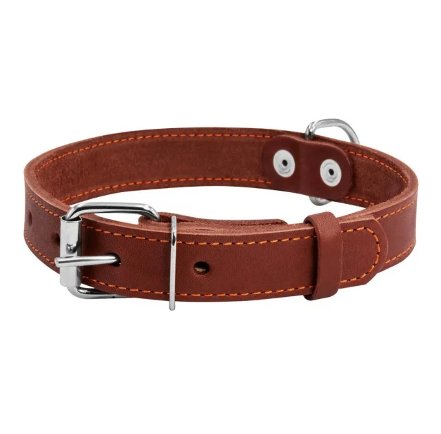 Ошейник одинарный с украшением для собак 25 мм, 38-50 см, коричневый