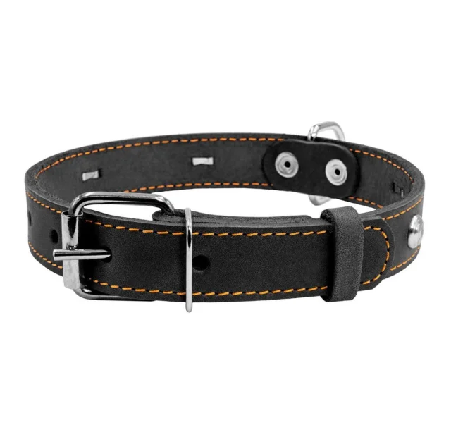 Ошейник одинарный с украшением для собак 25 мм, 38-50 см, черный