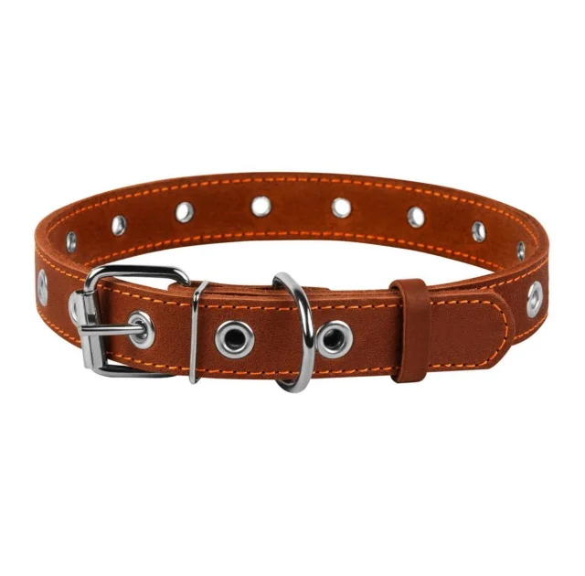 Ошейник безразмерный для собак 25 мм, 60 см, коричневый
