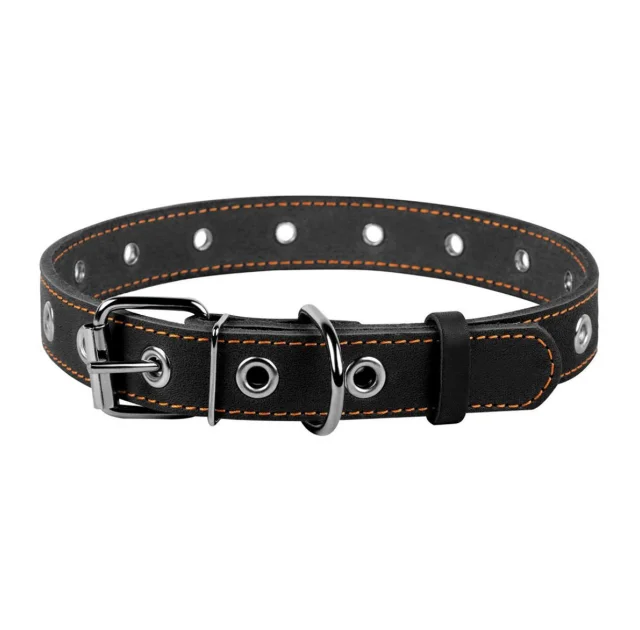 Ошейник безразмерный для собак 25 мм, 60 см, черный