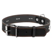 Ошейник одинарный с украшением для собак 35 мм, 48-63 см, черный