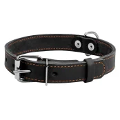 Ошейник одинарный для собак 35 мм, 48-63 см, черный