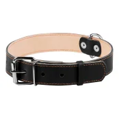 Ошейник двойной для собак 35 мм, 48-63 см, черный