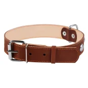 Ошейник двойной с украшением для собак 35 мм, 48-63 см, коричневый