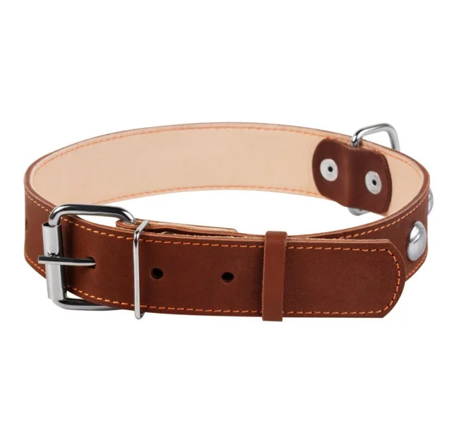 Ошейник двойной с украшением для собак 35 мм, 48-63 см, коричневый